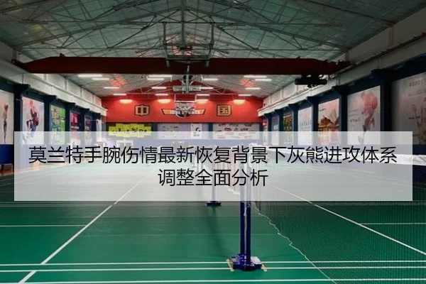 莫兰特手腕伤情最新恢复背景下灰熊进攻体系调整全面分析