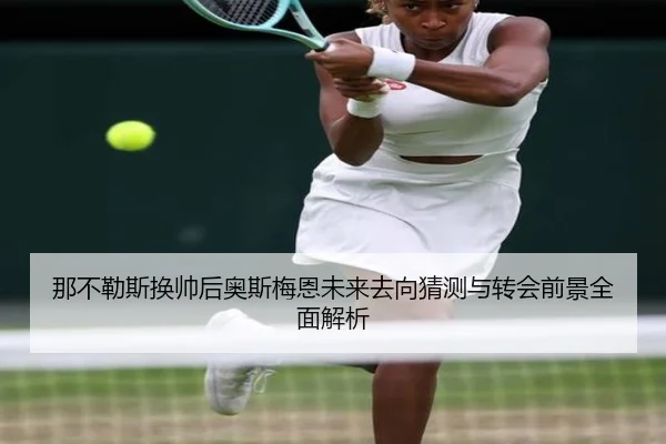 那不勒斯换帅后奥斯梅恩未来去向猜测与转会前景全面解析