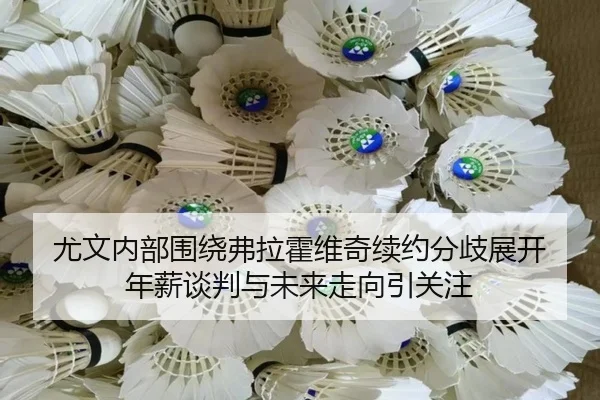 尤文内部围绕弗拉霍维奇续约分歧展开 年薪谈判与未来走向引关注