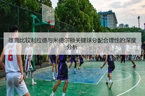 雄鹿比较利拉德与米德尔顿关键球分配合理性的深度分析