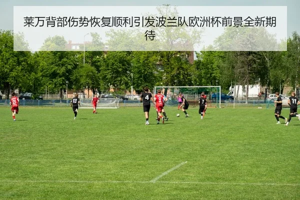 莱万背部伤势恢复顺利引发波兰队欧洲杯前景全新期待